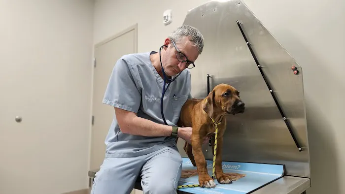 Sandbridge Veterinary Center 2