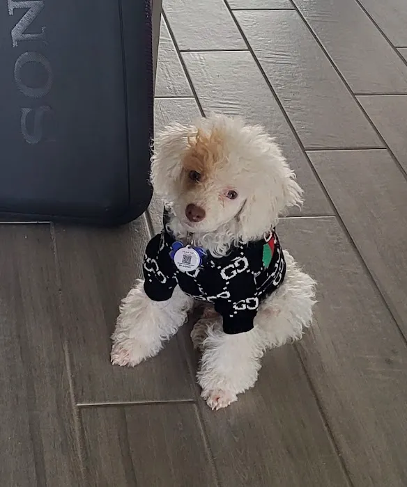 Sandbridge Veterinary Center 4