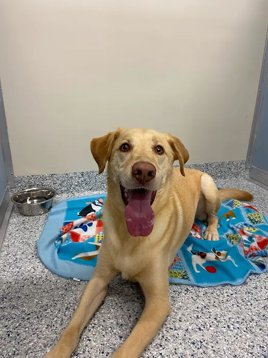 Sandbridge Veterinary Center 6