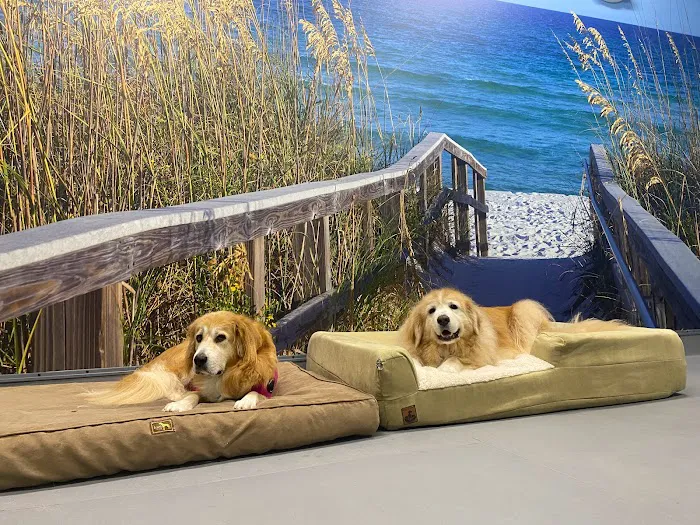 Sandbridge Veterinary Center 8