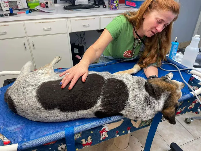Caring Hands Animal Hospital of Live Oak 9