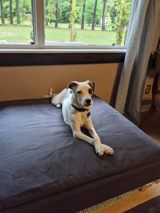Caring Hands Animal Hospital of Live Oak 4
