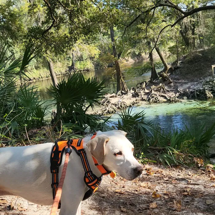 Suwannee PAWS Inc. 5