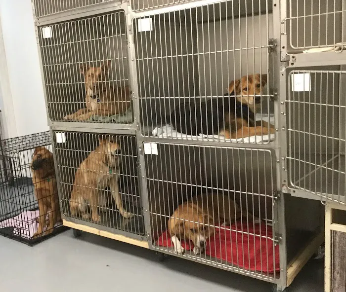 Suwannee PAWS Inc. 1