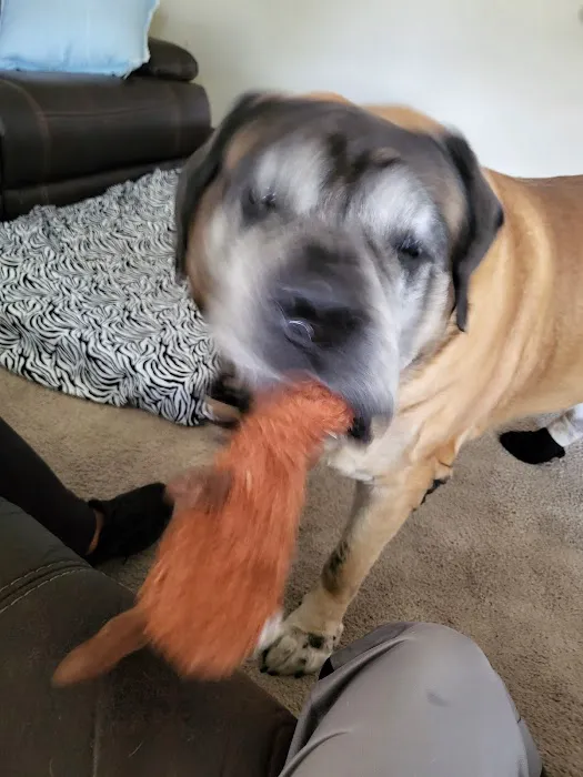 Suwannee PAWS Inc. 3