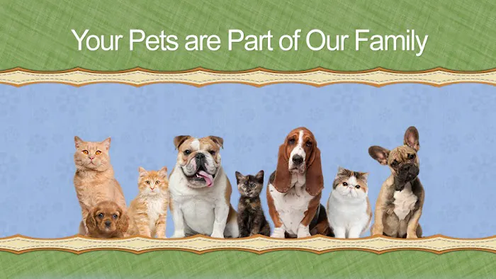 Companion Animal Hospital 5