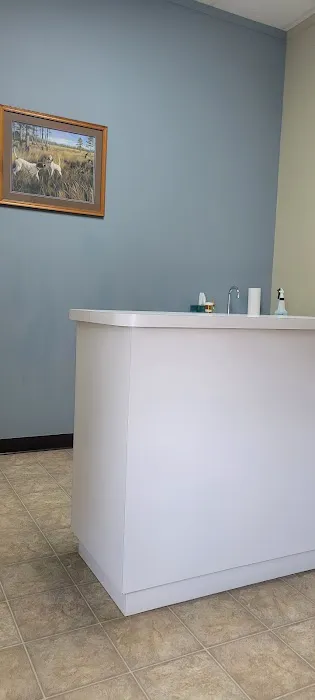 All Springs Veterinary Hospital 2