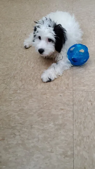 Banfield Pet Hospital 7