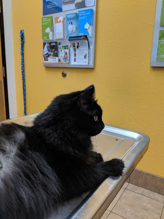 Banfield Pet Hospital 2