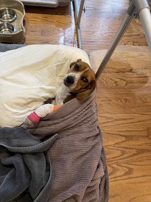 Pet Health Clinic 7