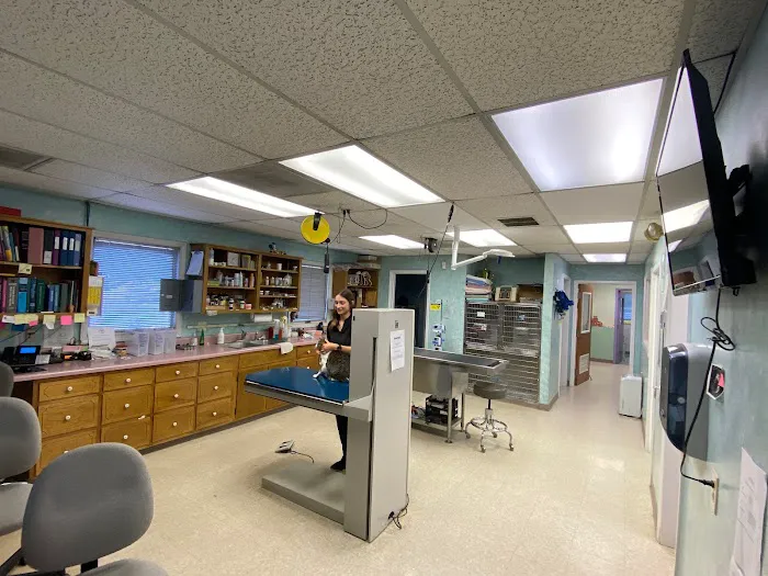 Pet Health Clinic 9