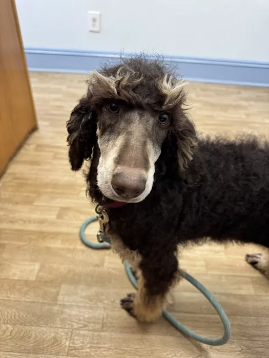 Read Mountain Animal Hospital 8