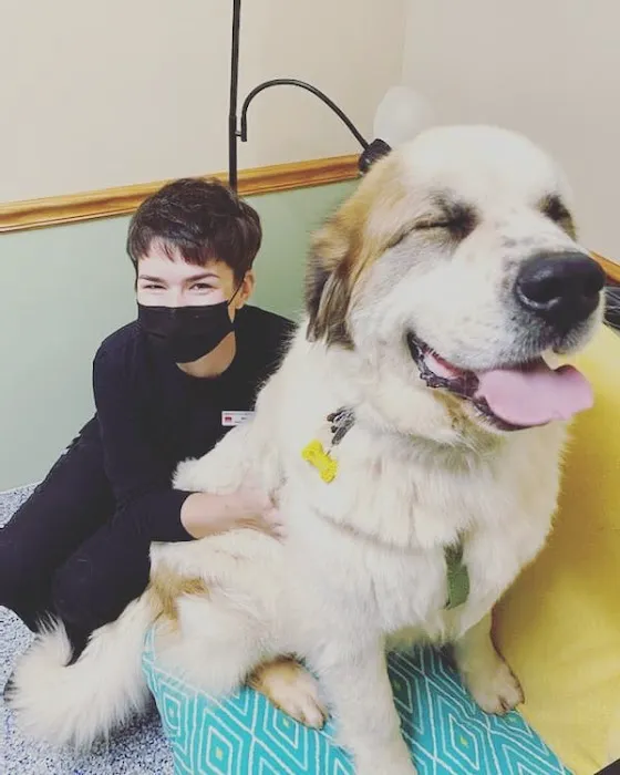 Hanging Rock Animal Hospital 5