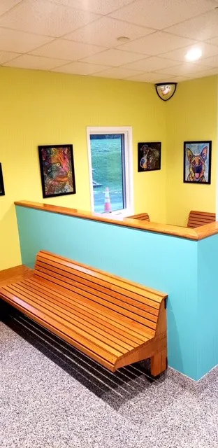 Hanging Rock Animal Hospital 4