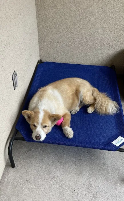 VCA Pacific Petcare Animal Hospital 12