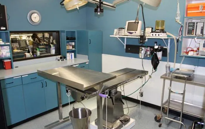 VCA Pacific Petcare Animal Hospital 12