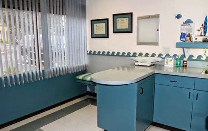 VCA Pacific Petcare Animal Hospital 12