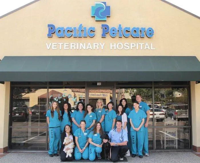 VCA Pacific Petcare Animal Hospital 12