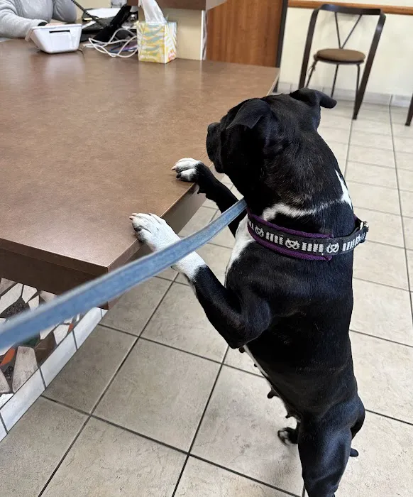 Del Mar Heights Veterinary Hospital 10