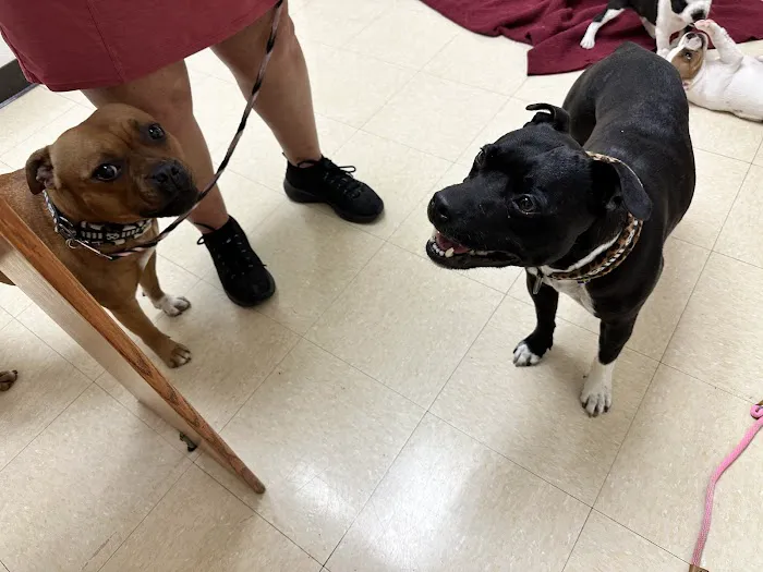 Del Mar Heights Veterinary Hospital 9