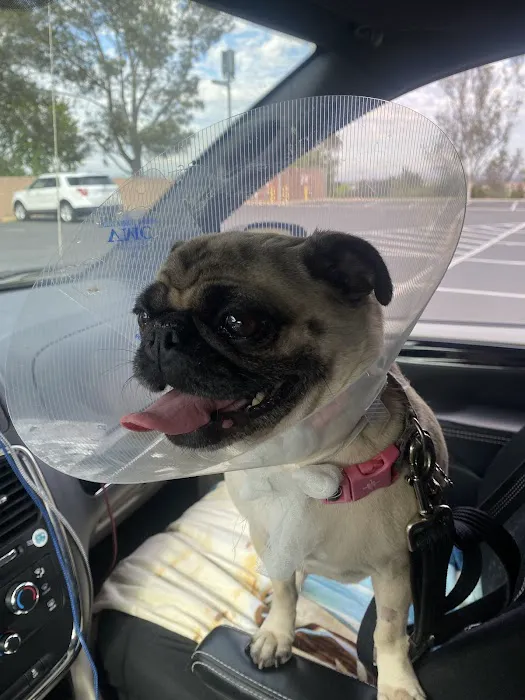 Del Mar Heights Veterinary Hospital 6