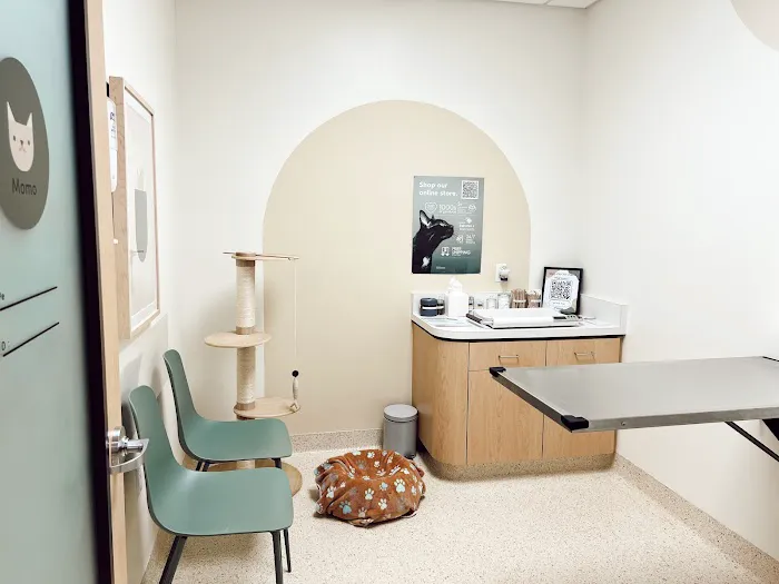 Papaya Veterinary Care - Carmel Valley 12