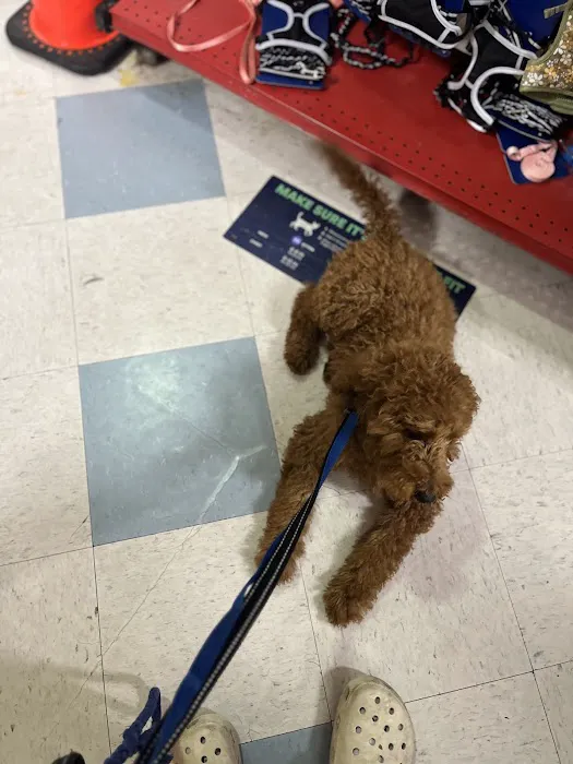 Vetco Total Care Animal Hospital 12