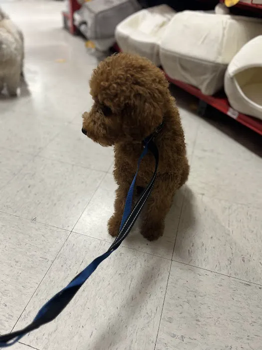 Vetco Total Care Animal Hospital 12