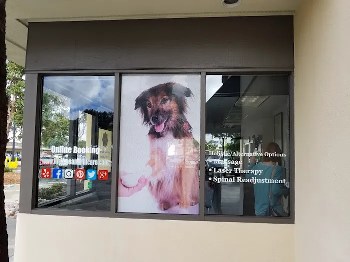 Lifetime Animal Care Center 12