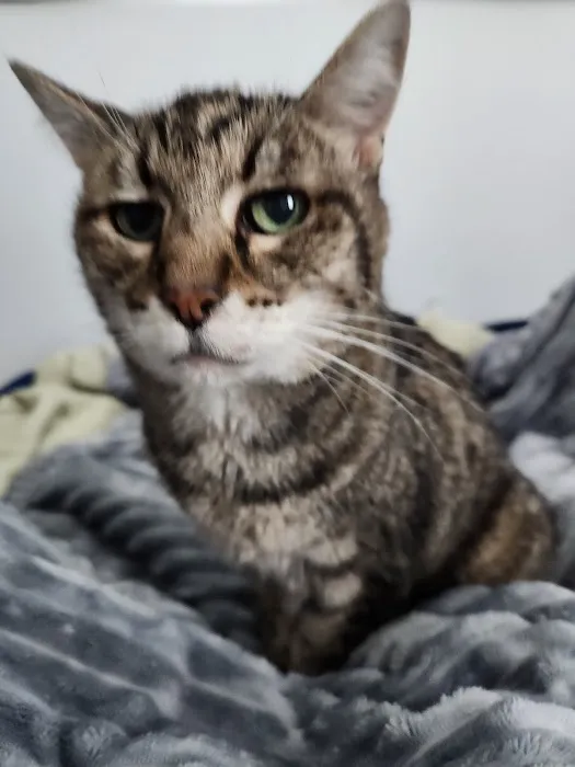 Lifetime Animal Care Center 12
