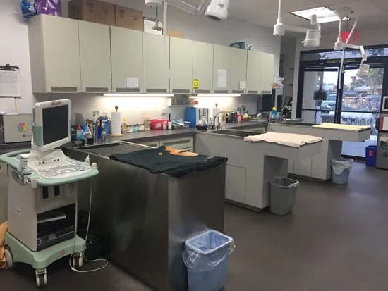 Lifetime Animal Care Center 12