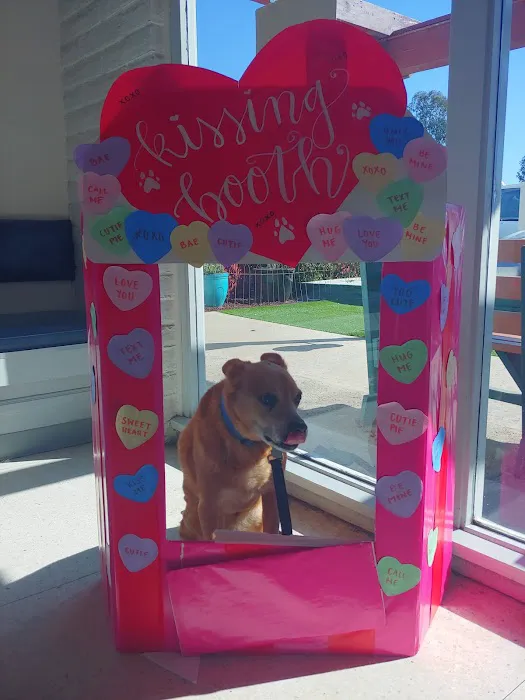 Rancho Mesa Animal Hospital 12