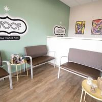 Center Veterinary Clinic and Urgent Care ico