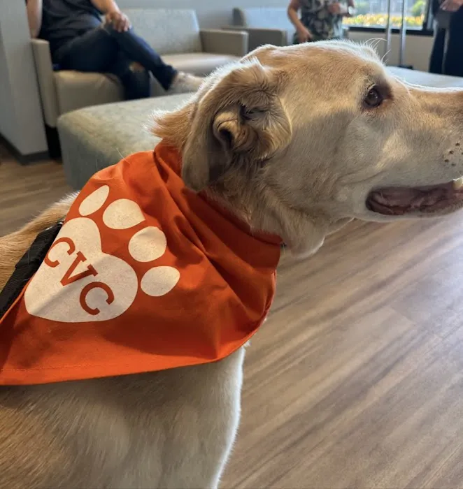 Center Veterinary Clinic and Urgent Care 6