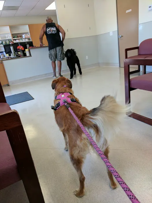 MCAS Miramar Veterinary Treatment Facility 3