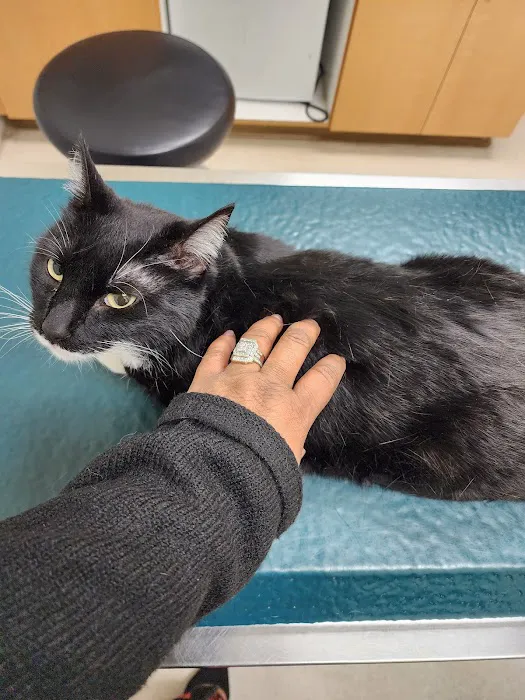 MCAS Miramar Veterinary Treatment Facility 9
