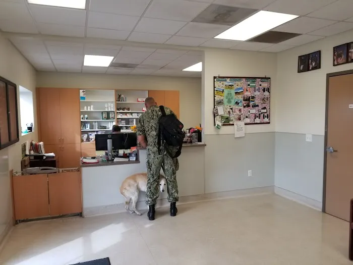 MCAS Miramar Veterinary Treatment Facility 7