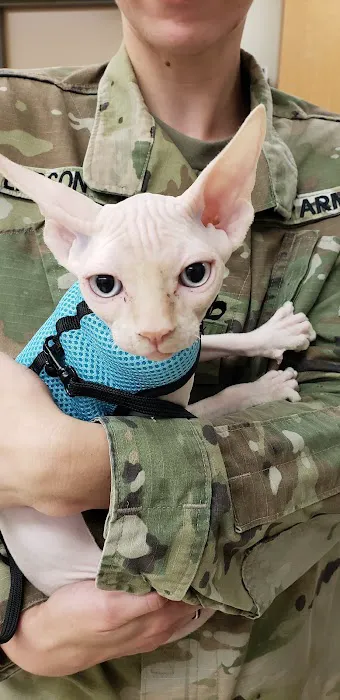 MCAS Miramar Veterinary Treatment Facility 4