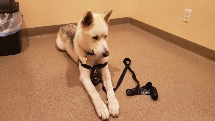 Paradise Veterinary Hospital 7