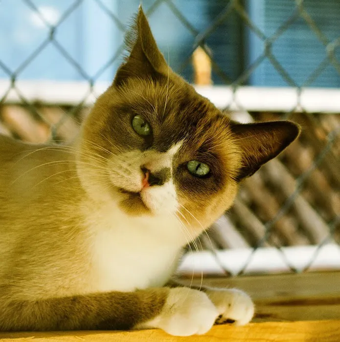 Paradise Veterinary Hospital 4