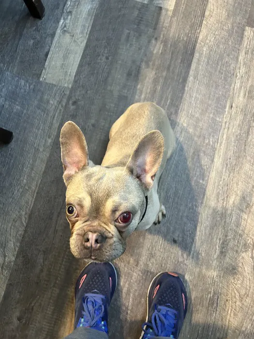 SNAP: Spay-Neuter Action Project of San Diego 6