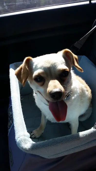 SNAP: Spay-Neuter Action Project of San Diego 3