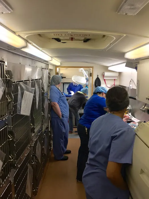 SNAP: Spay-Neuter Action Project of San Diego 4
