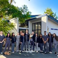 Rose Canyon Animal Hospital ico