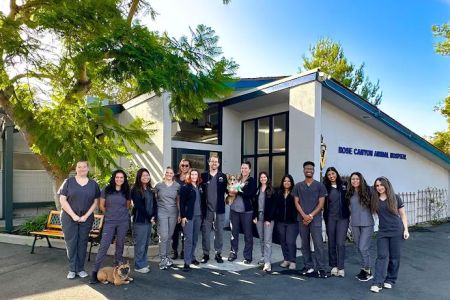 Rose Canyon Animal Hospital