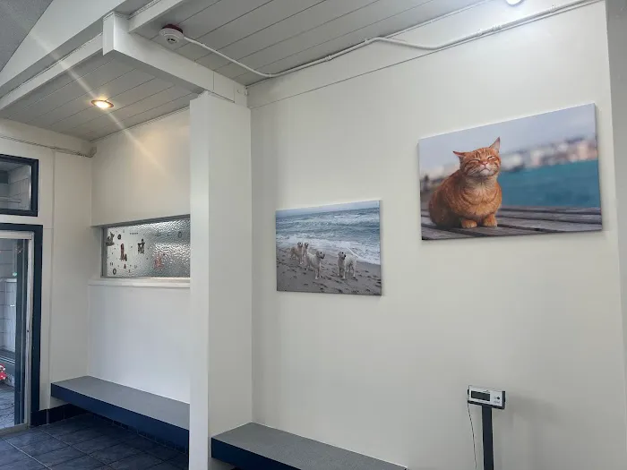 Rose Canyon Animal Hospital 12