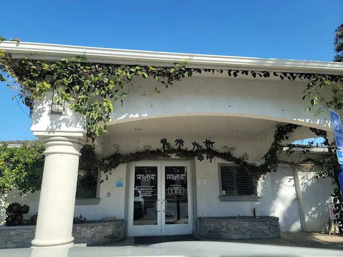 Animal & Bird Hospital of Del Mar 2