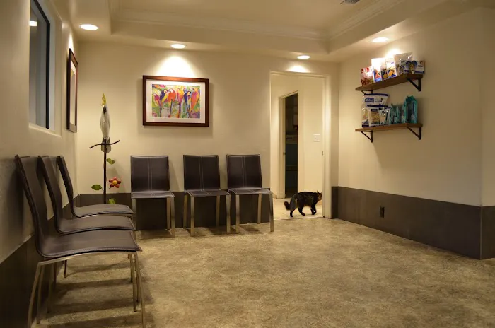 Animal & Bird Hospital of Del Mar 4