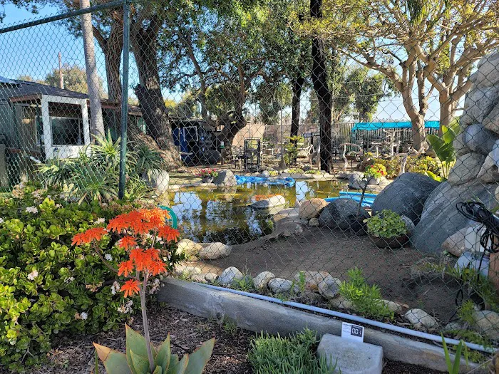 Animal & Bird Hospital of Del Mar 1