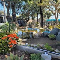 Animal & Bird Hospital of Del Mar ico